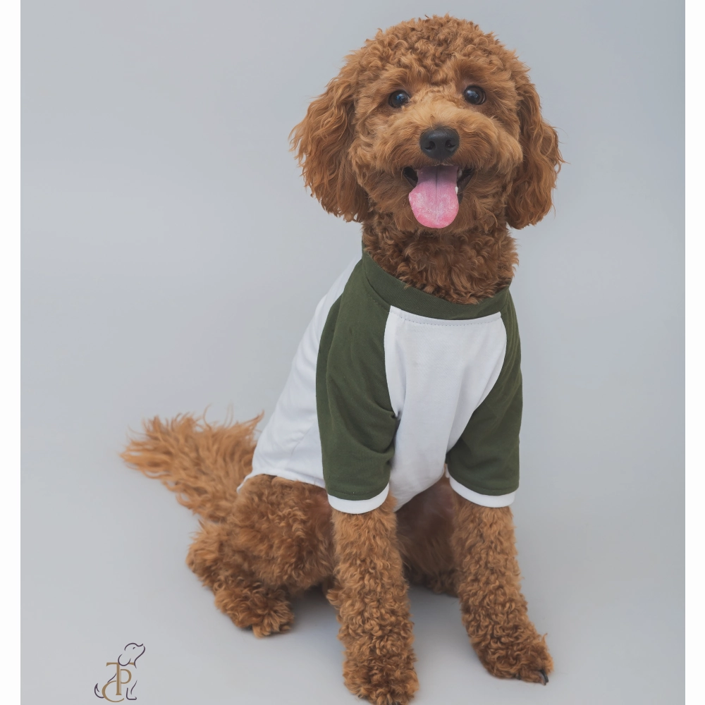 The Papaw Cartel Puppacino Dog Tshirt for Dogs (White/Olive/Green)