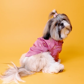 The Papaw Cartel Sequin Embroidered Sherwani For Dogs (Onion Pink)