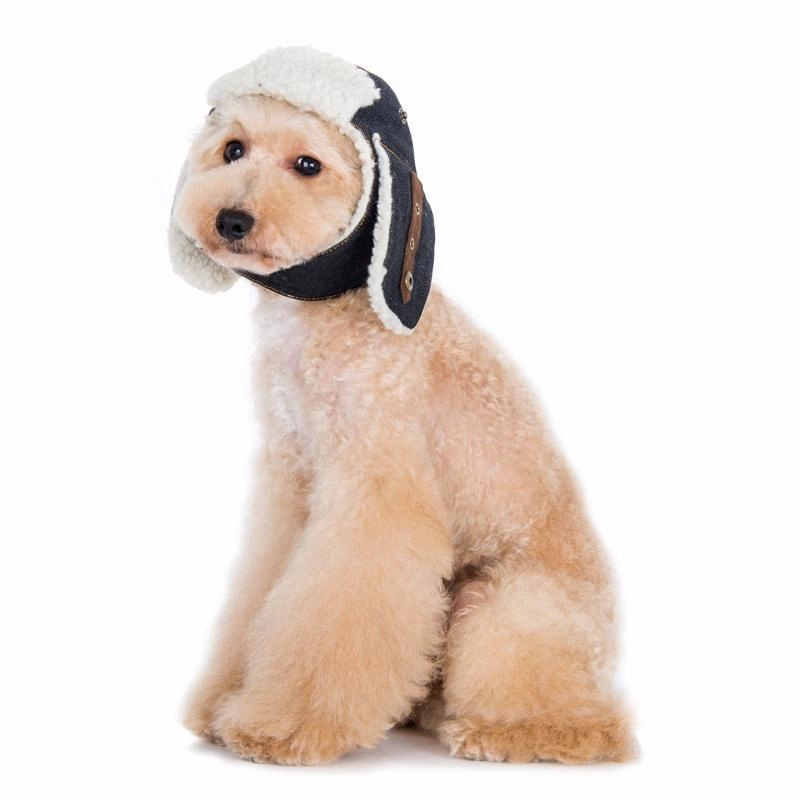 Trapper Dog Hat