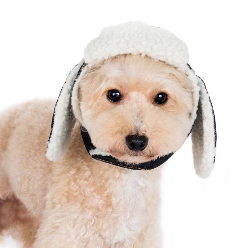 Trapper Dog Hat
