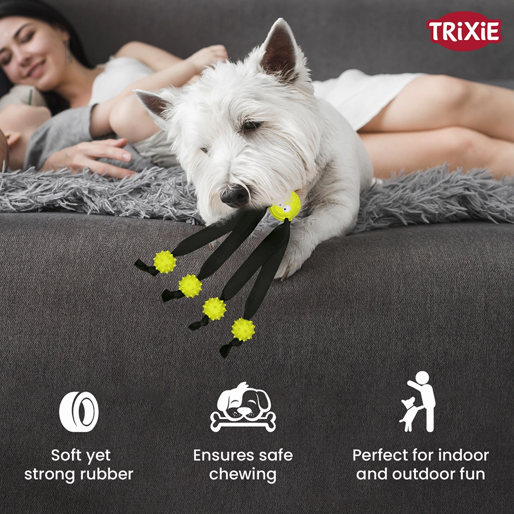 Trixie Ball on a Strap Toy for Dogs (Green)