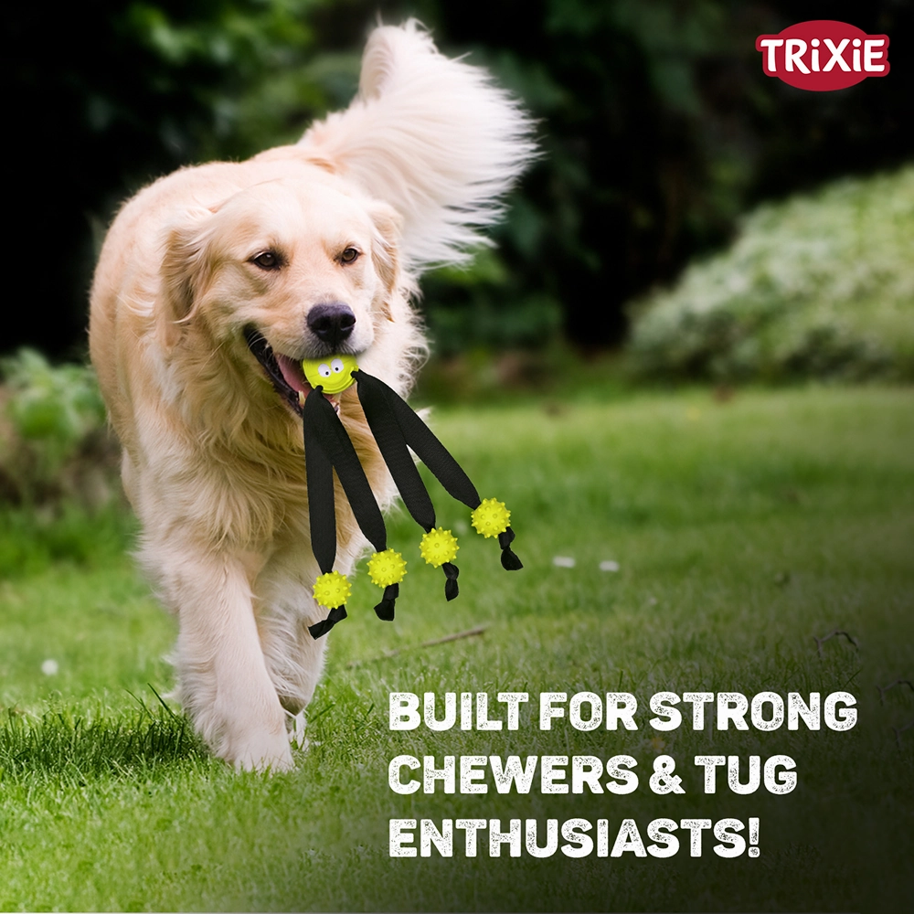 Trixie Ball on a Strap Toy for Dogs (Green)