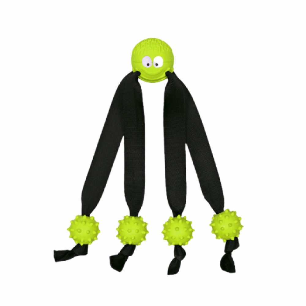 Trixie Ball on a Strap Toy for Dogs (Green)