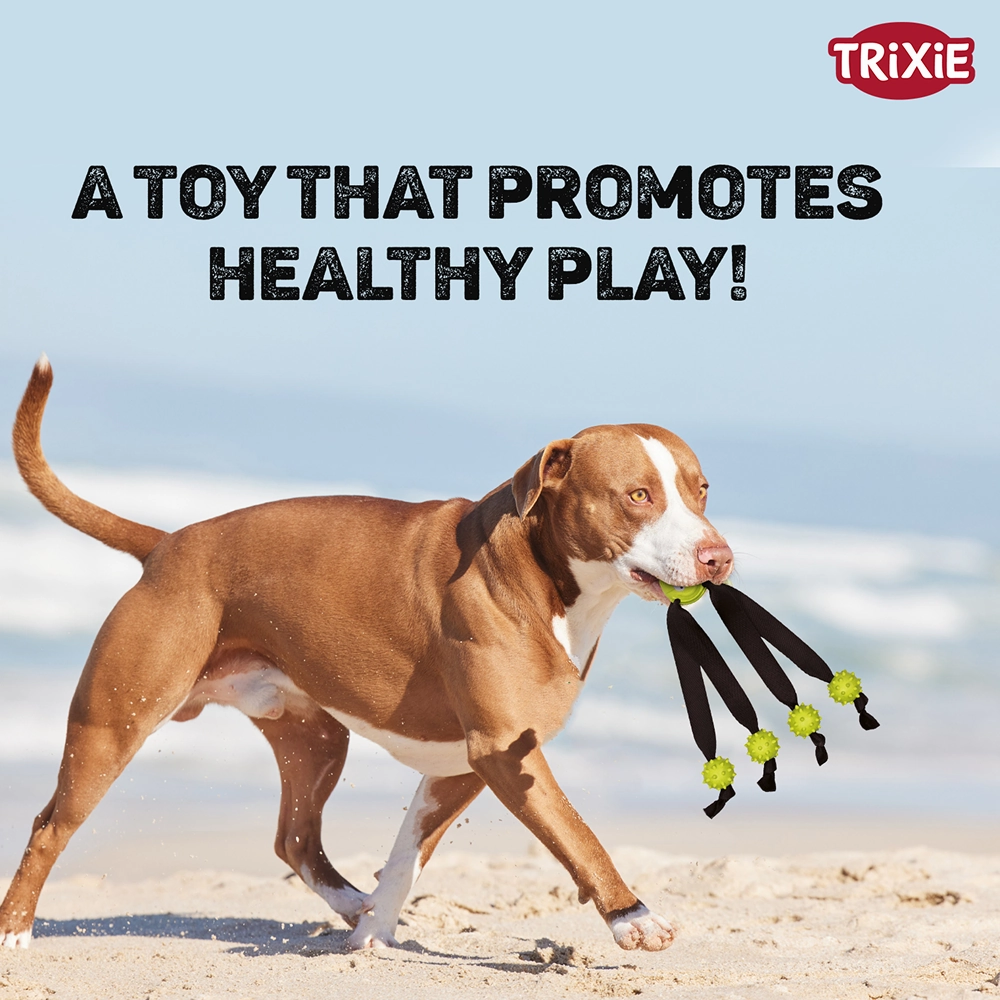Trixie Ball on a Strap Toy for Dogs (Green)