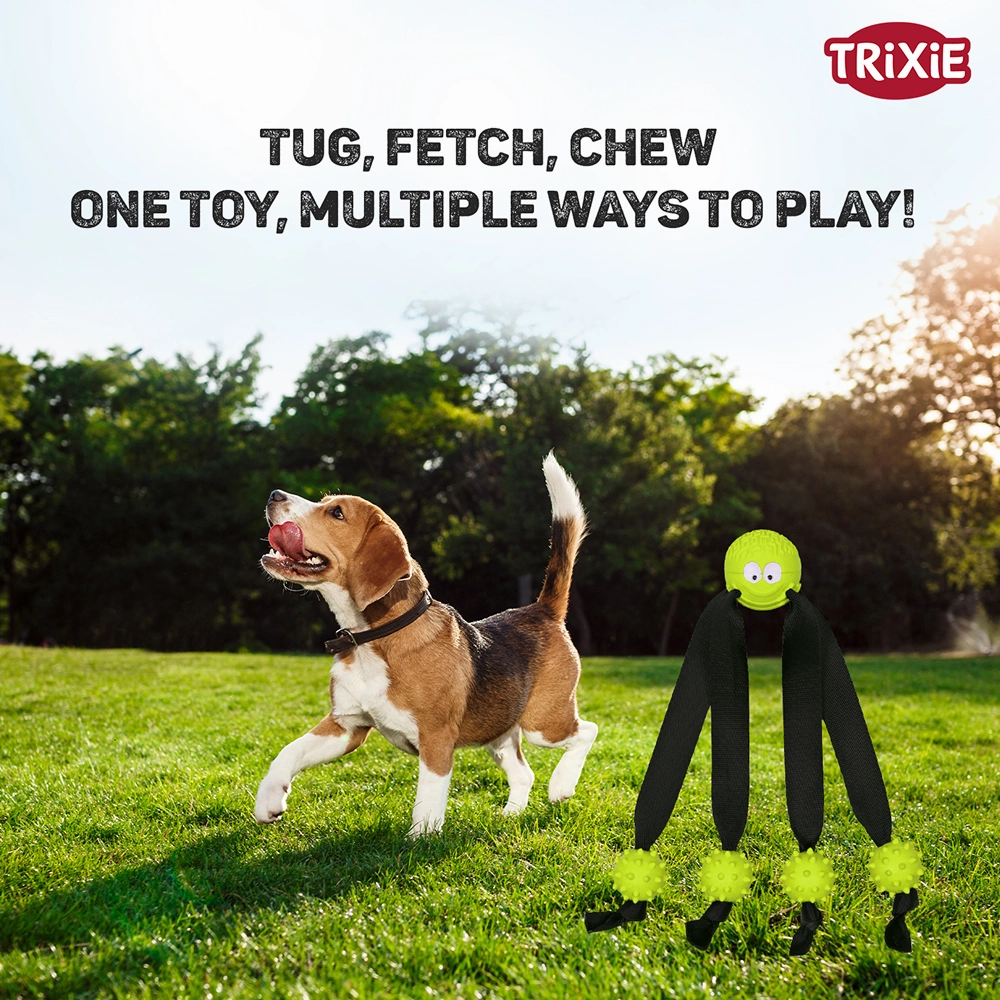 Trixie Ball on a Strap Toy for Dogs (Green)