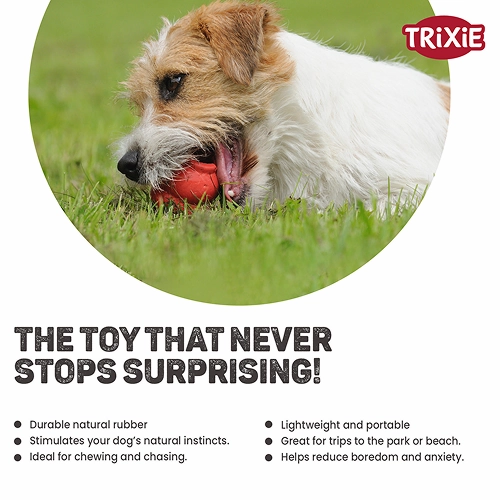 Trixie Jumper Chew Toy for Dogs (Yellow)