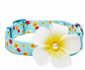 Tropical Flower Dog Collar in Blue