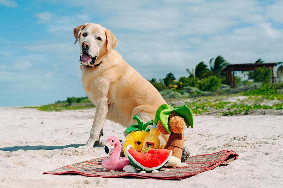 Tropical Paradise Squeaky Plush Dog toys, Puppy Palm