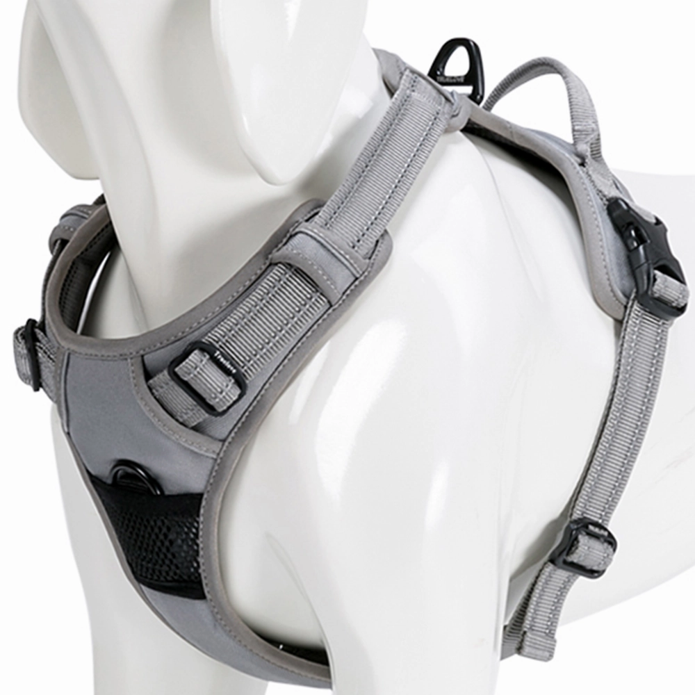 Truelove Classic Harness and Padded Collar for Dogs (Grey) - L
