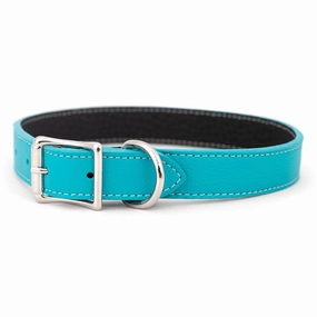 Tuscan Leather Dog Collar Turquoise