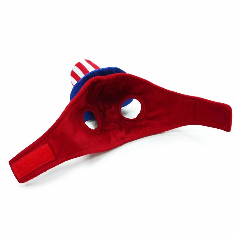 Uncle Sam Dog Hat