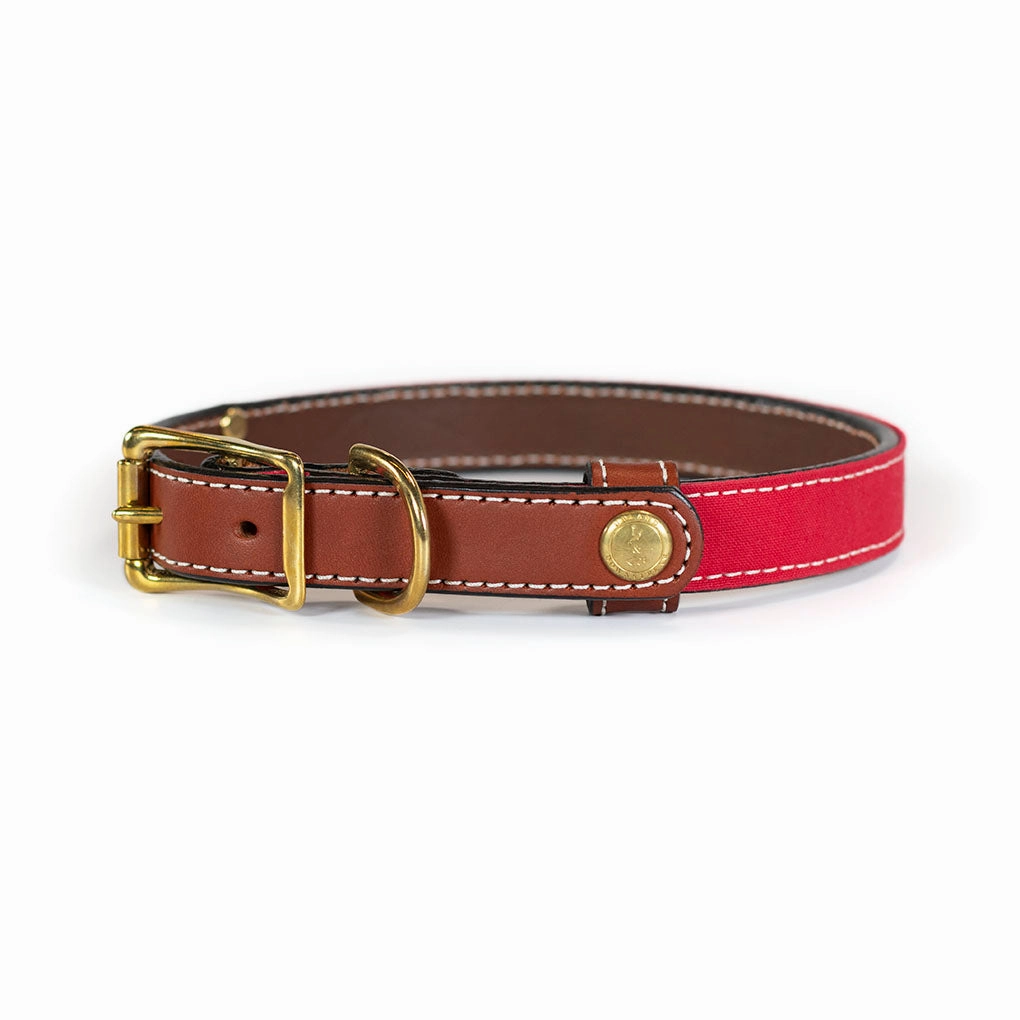 Upland & Downstream Countryside Collar in Multiple Colors