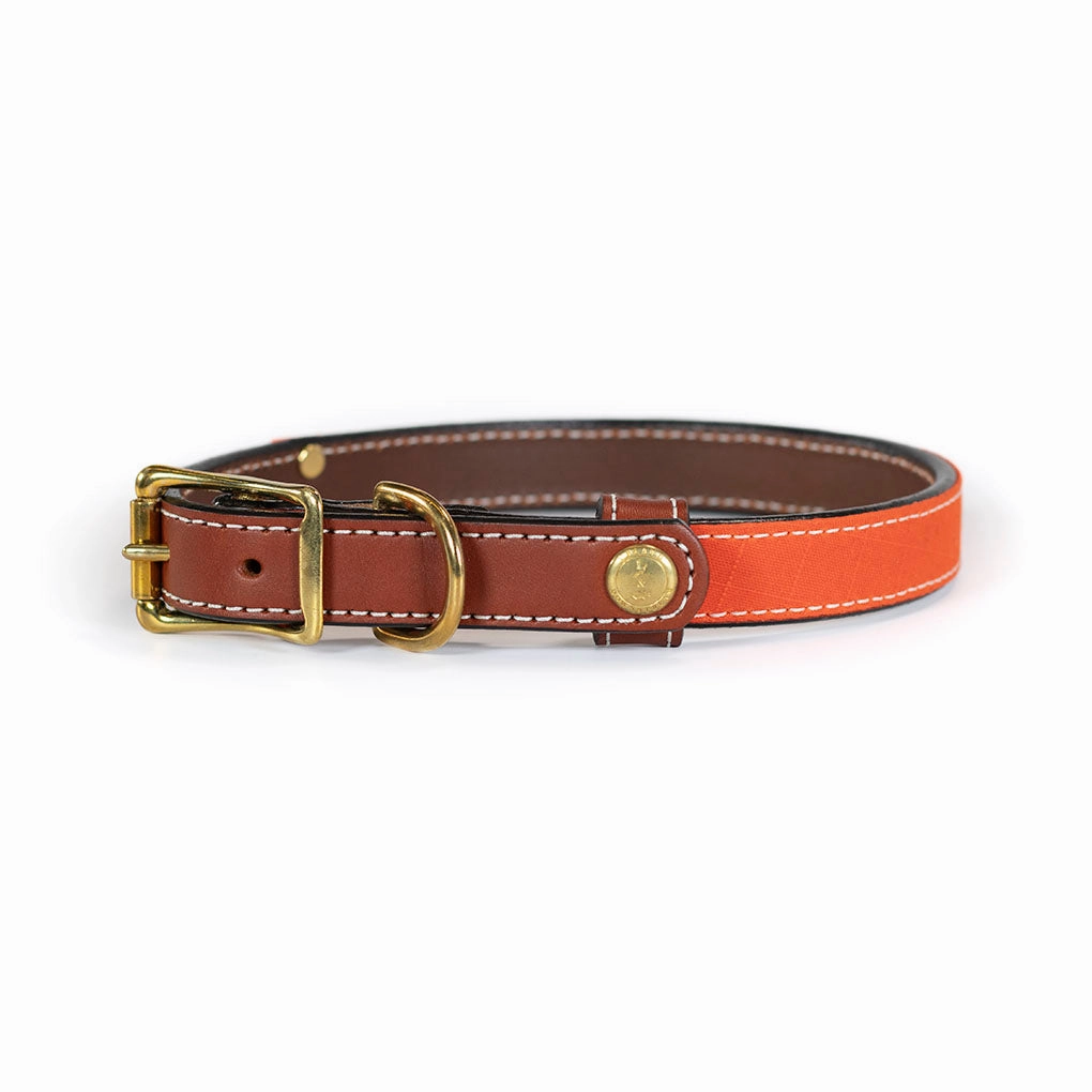 Upland & Downstream Countryside Collar in Multiple Colors