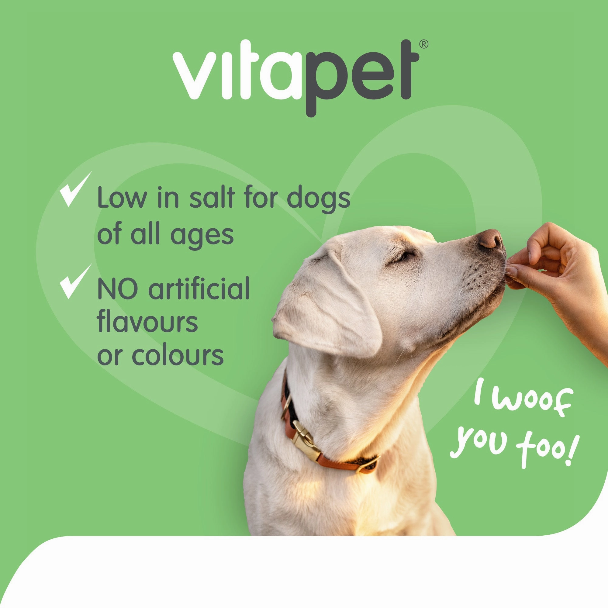 VitaPet - JerHigh Chicken Sticks Dog Treats (100g)