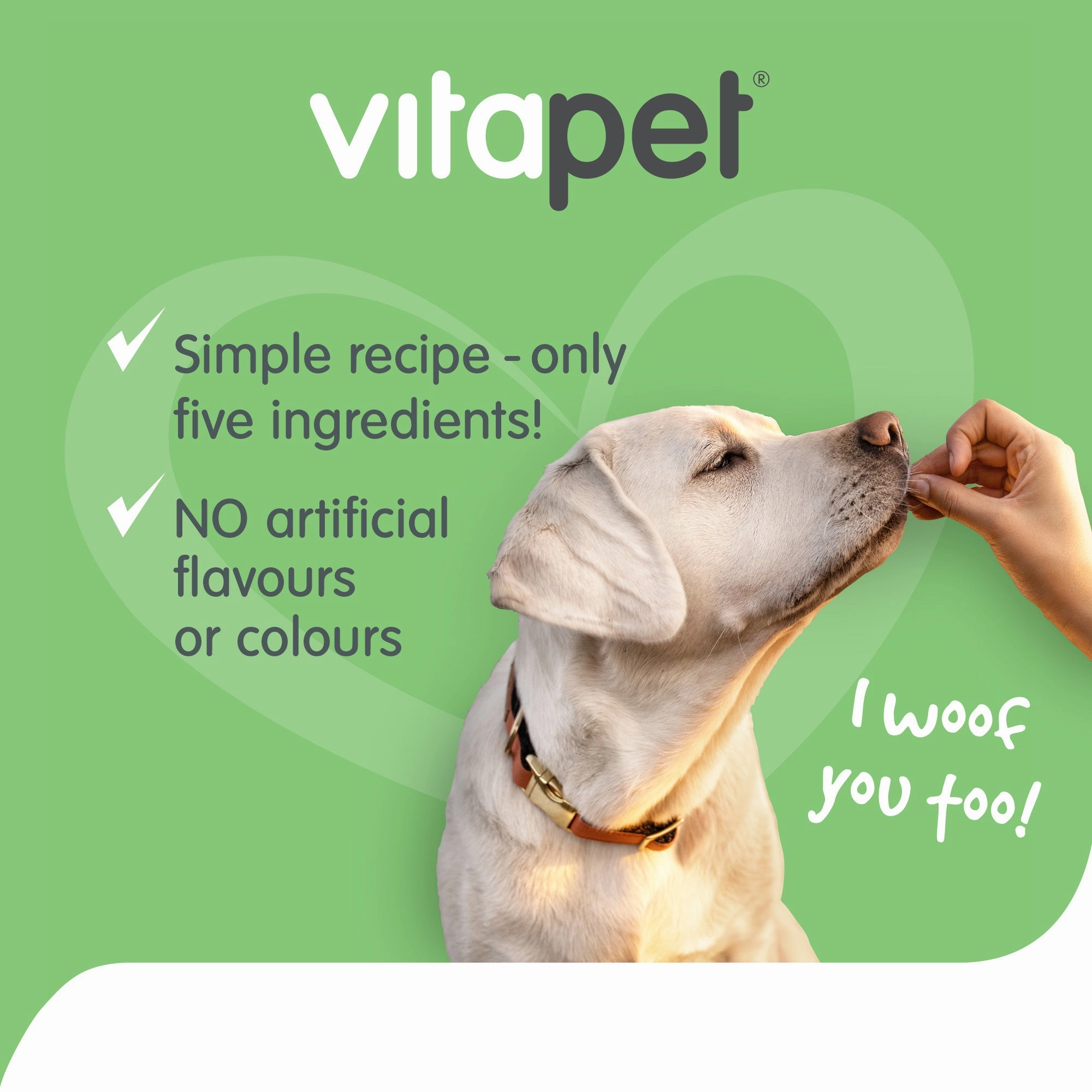 VitaPet - JerHigh Duck Sticks Dog Treats (80g)
