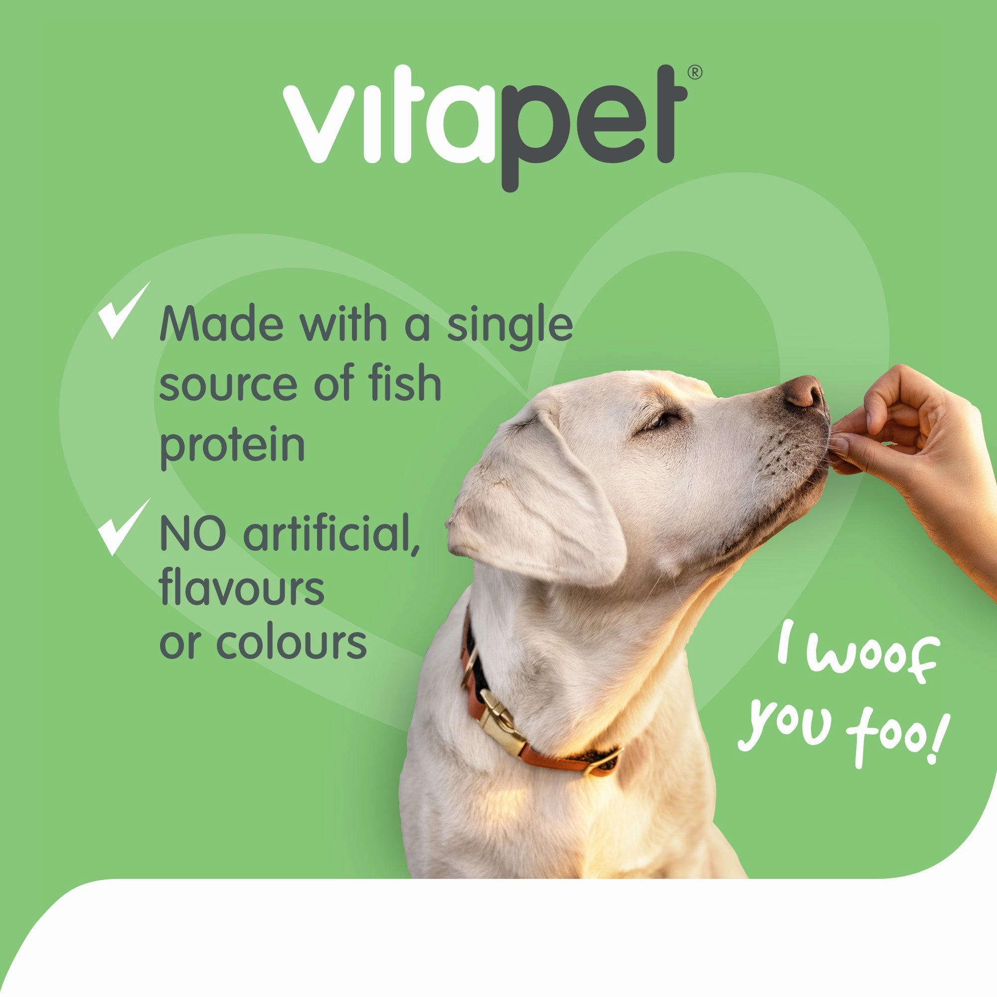 VitaPet - JerHigh Salmon Sticks Dog Treats (80g)