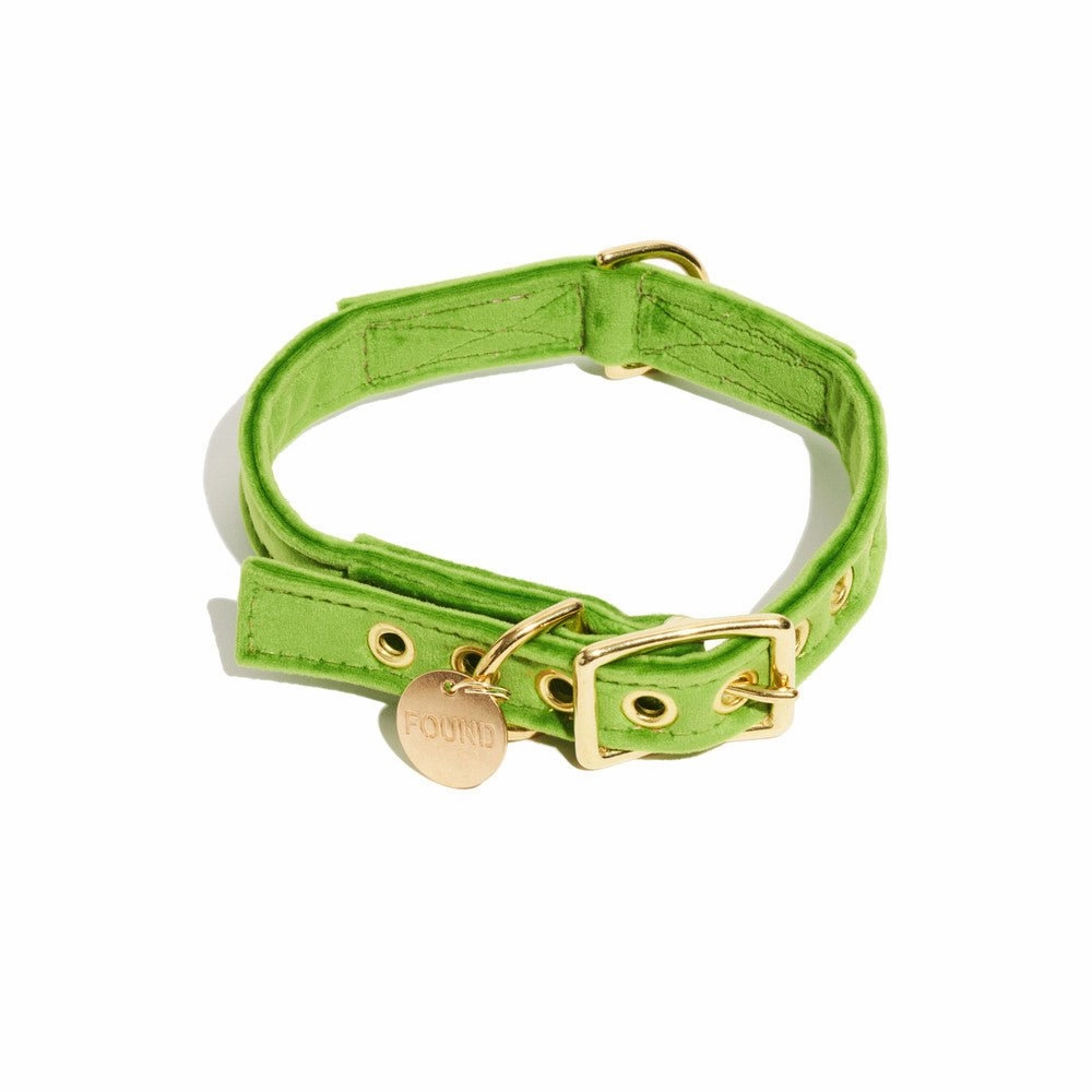 Washable Velvet Dog Collar Lime