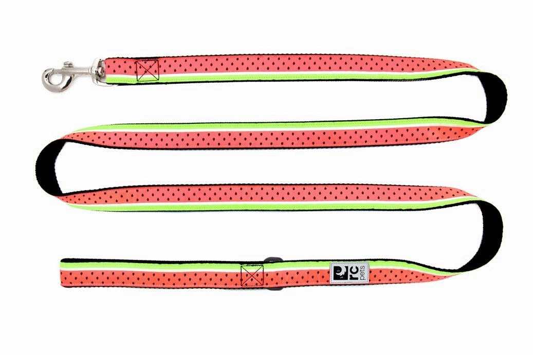 Watermelon Clip Collar
