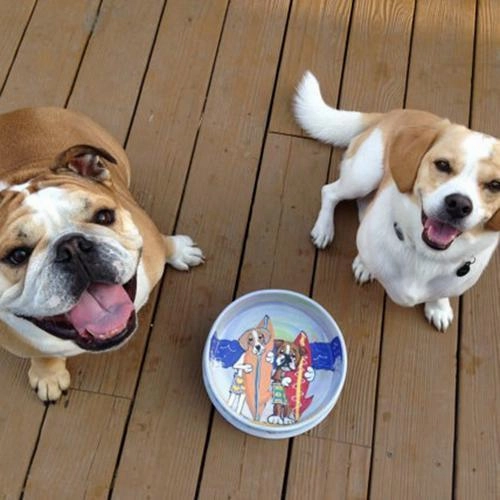 Whimsical Custom Portrait Dog Bowl