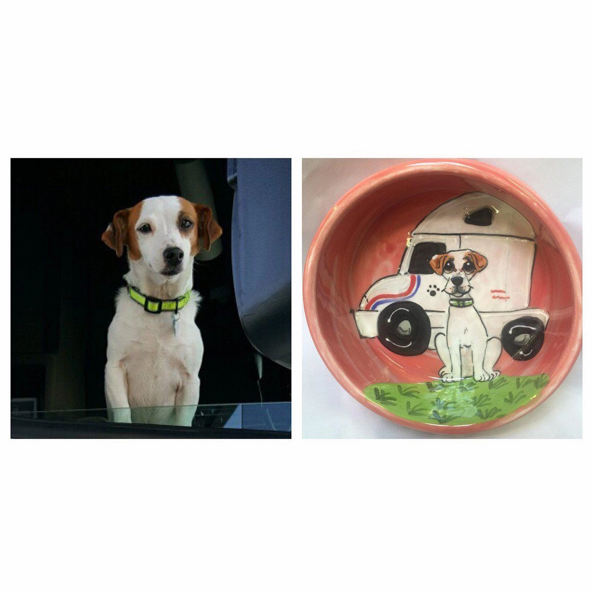 Whimsical Custom Portrait Dog Bowl