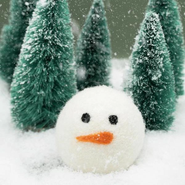 Winter Beastball Dog Toy