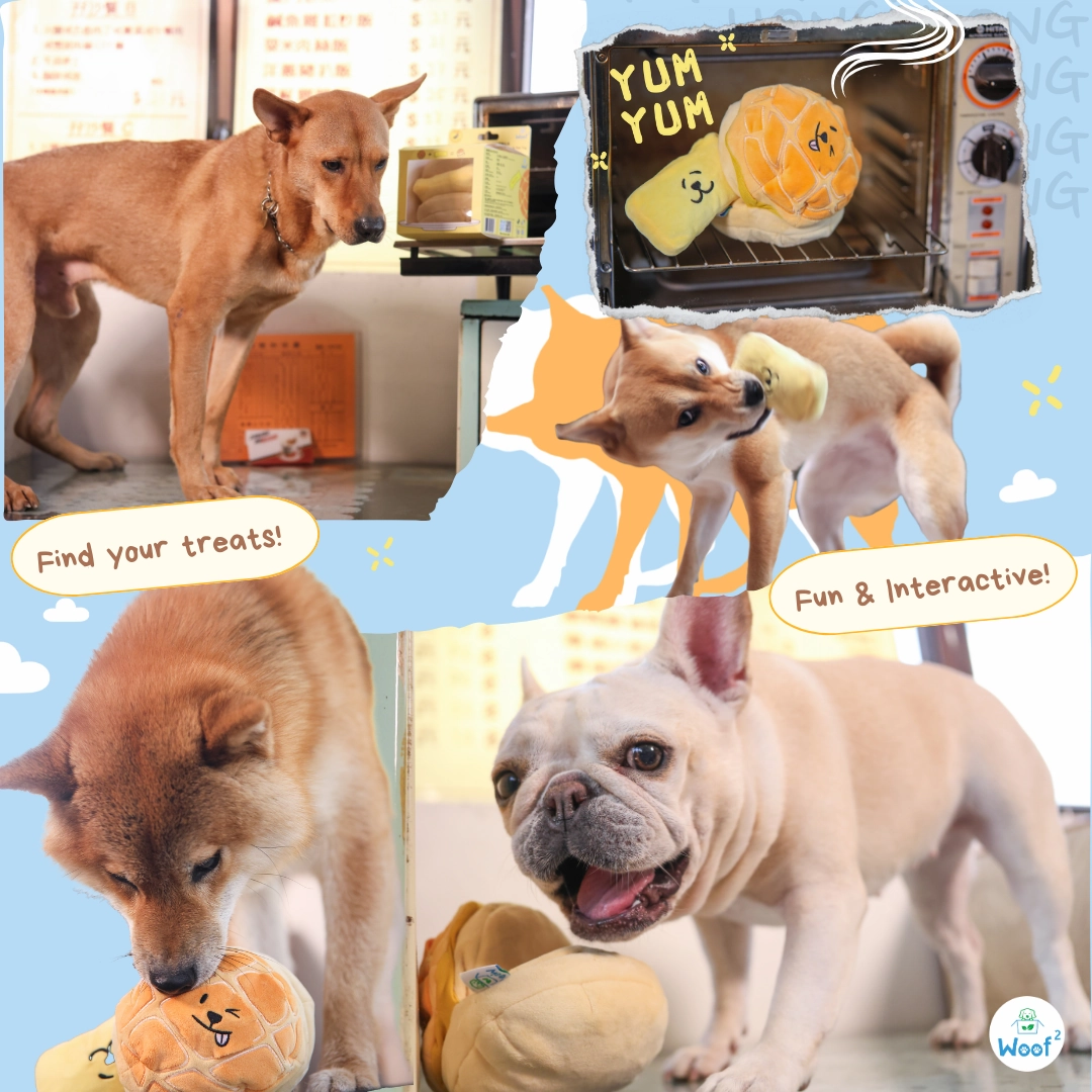 Woof Buttered Pineapple Bun, Nosework Interactive Plush Dog Toy
