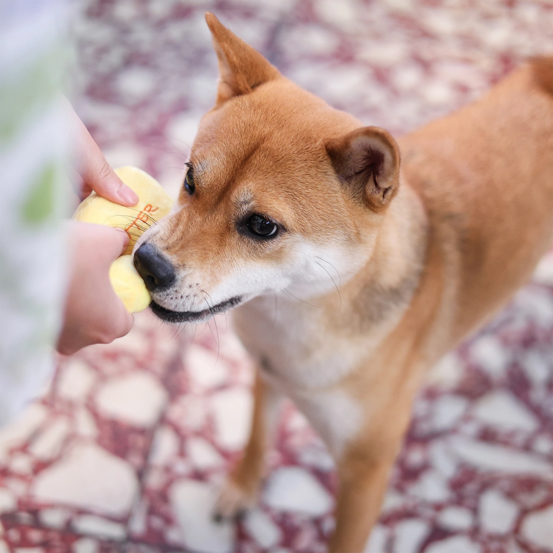 Woof Buttered Pineapple Bun, Nosework Interactive Plush Dog Toy