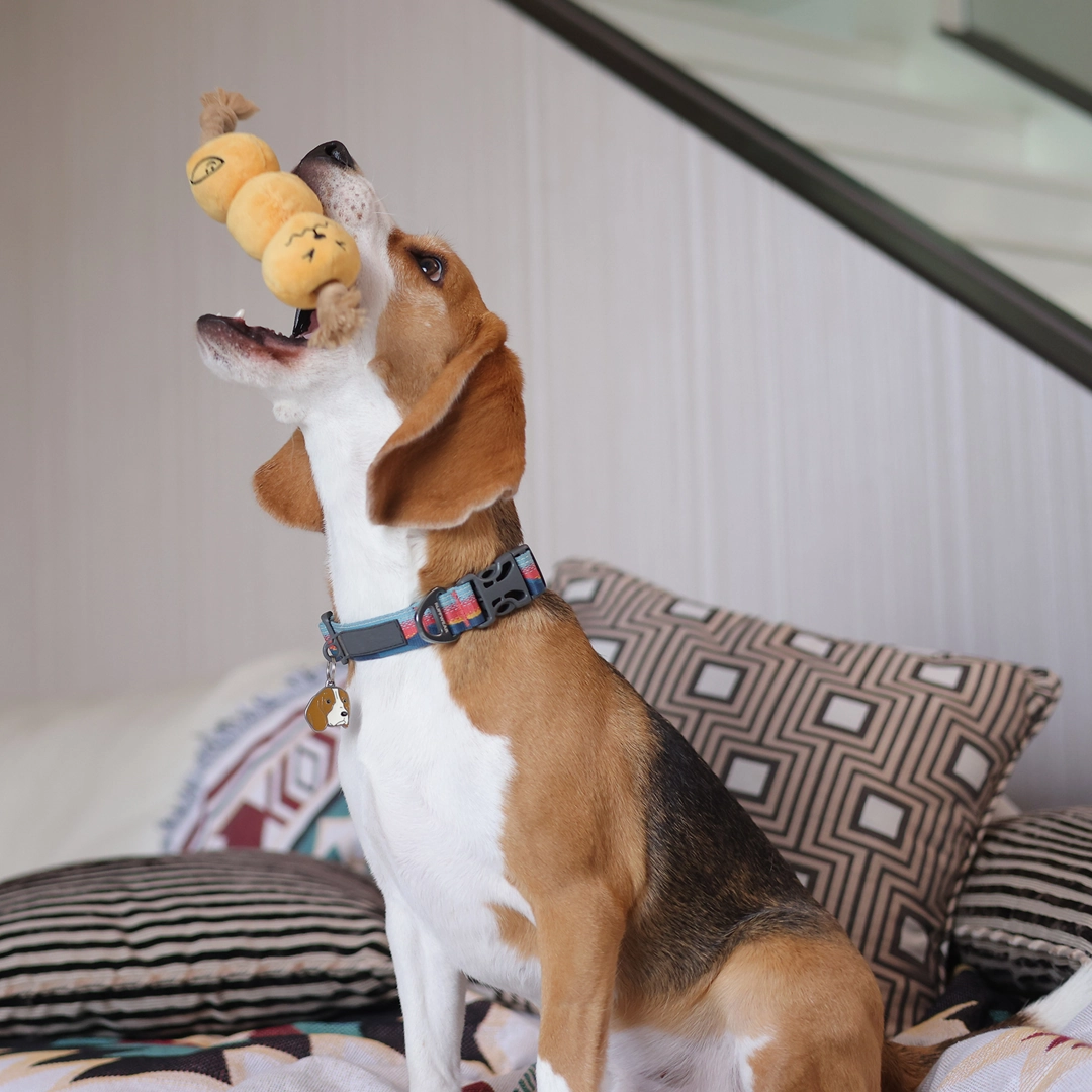 Woof Curry Fishball Interactive Rope Pull Squeaky Dog Toy