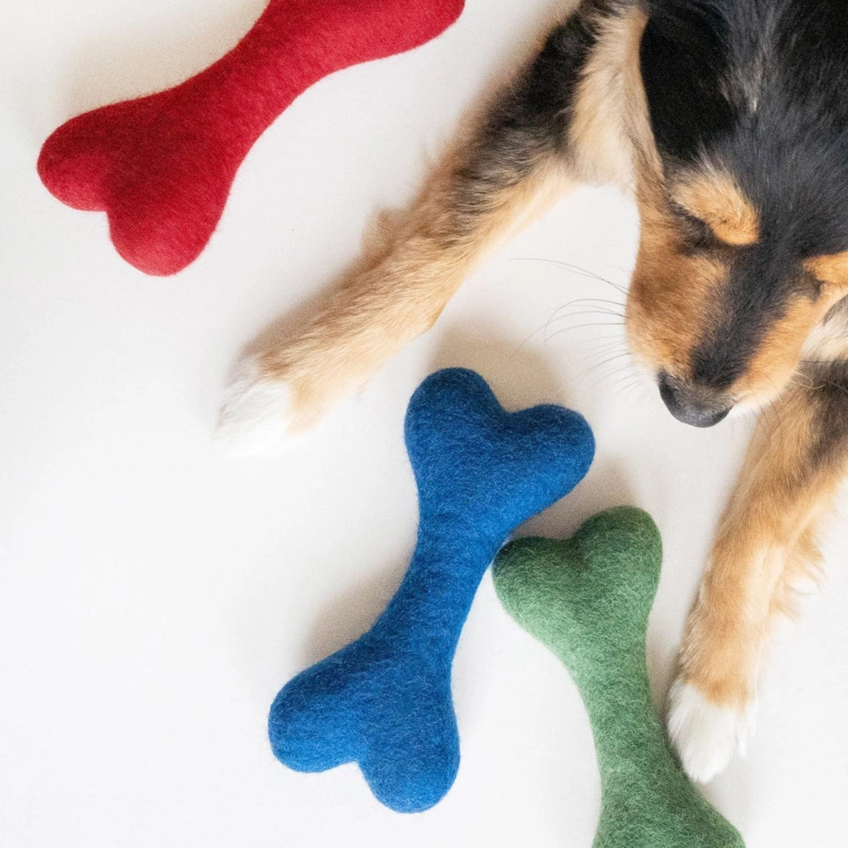 Wool Bone Doy Toy Heritage