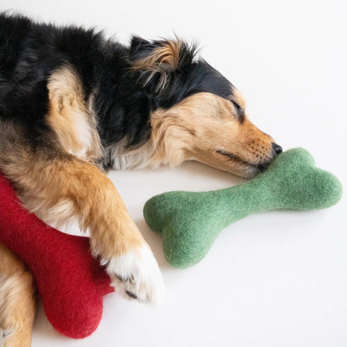 Wool Bone Doy Toy Heritage
