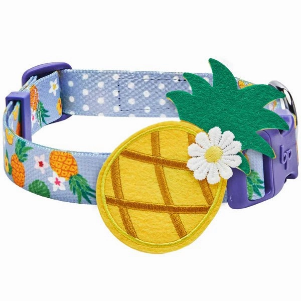 Zesty Fruit Dog Collar- Pineapple