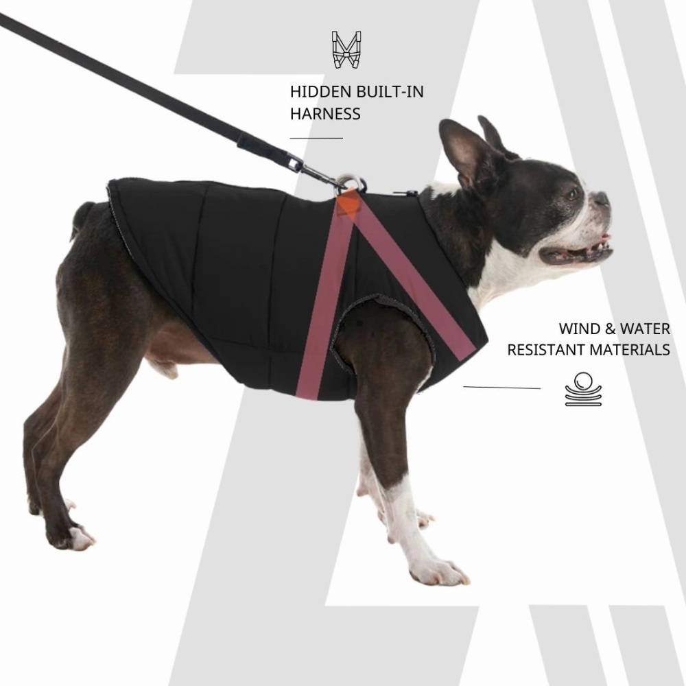 Zoomiez Ultimate Jacket With Built in Harness for Dogs (Black/Neon)